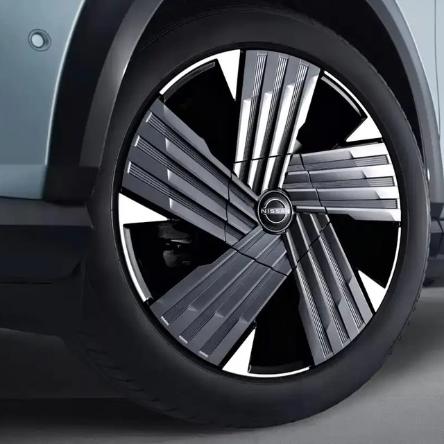 Nissan Ariya felg