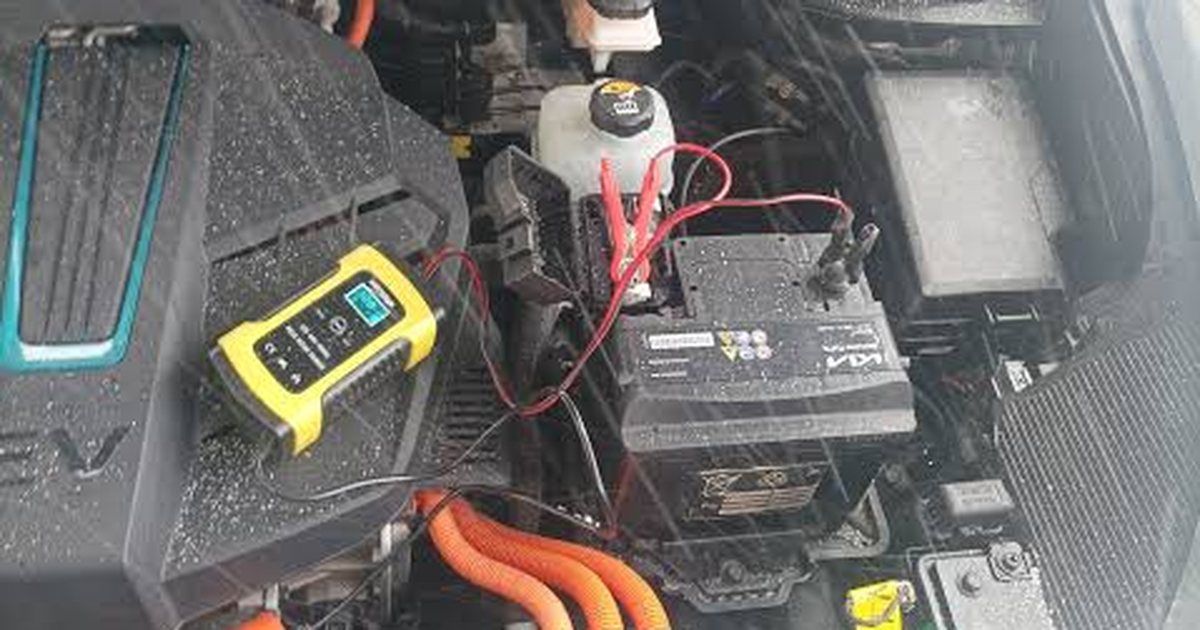 Kia e-Niro problemer
